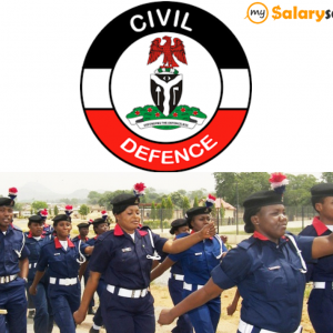 Civil Defence Past Questions and Answers
