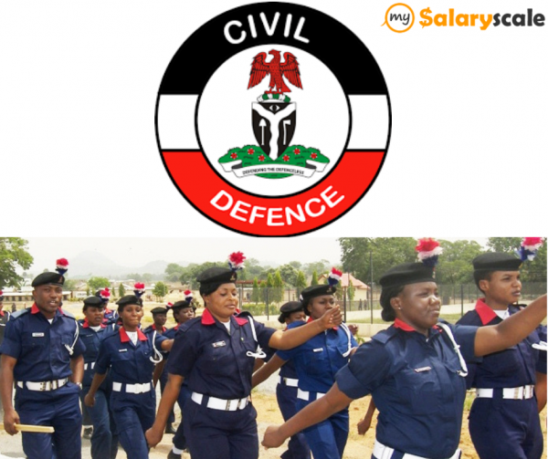 Civil Defence Past Questions and Answers